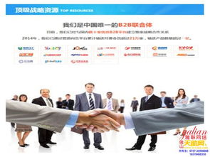 大良天助网与雅联网络 认证商家与广告服务的全方位解析